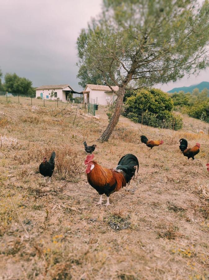 הוילה פאסינס Complejo Rural Del Molino Dorado מראה חיצוני תמונה