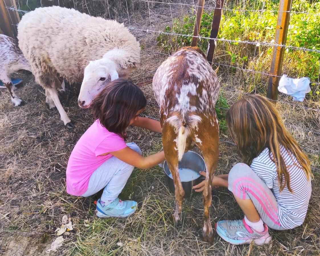 הוילה פאסינס Complejo Rural Del Molino Dorado מראה חיצוני תמונה