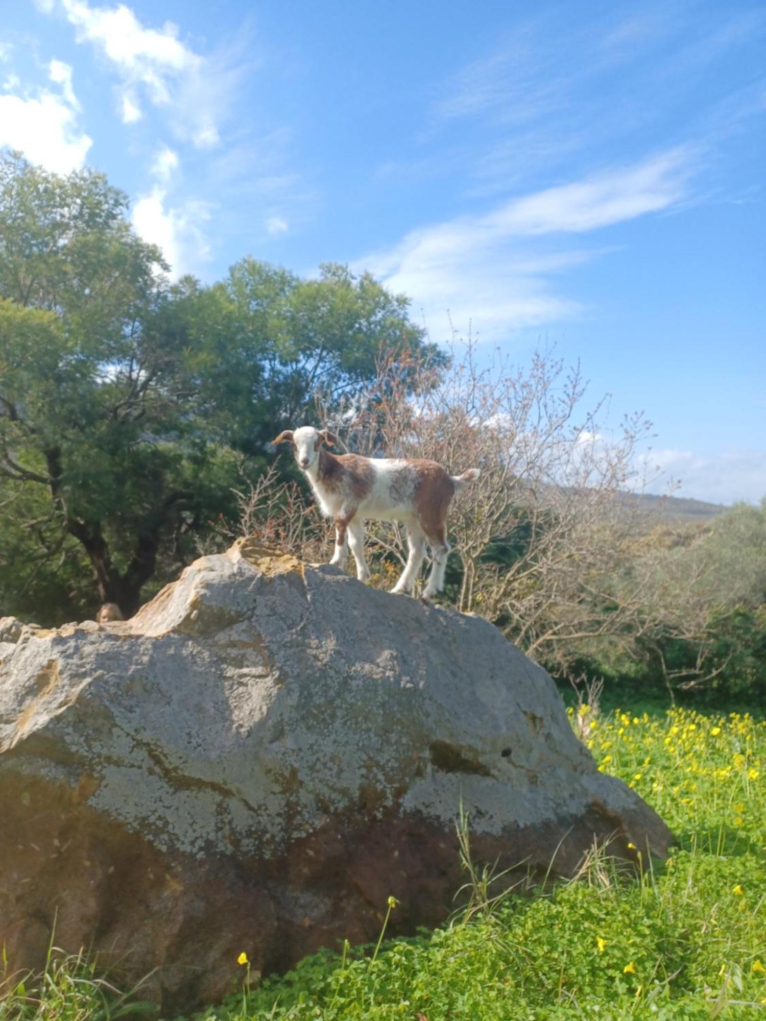 הוילה פאסינס Complejo Rural Del Molino Dorado מראה חיצוני תמונה