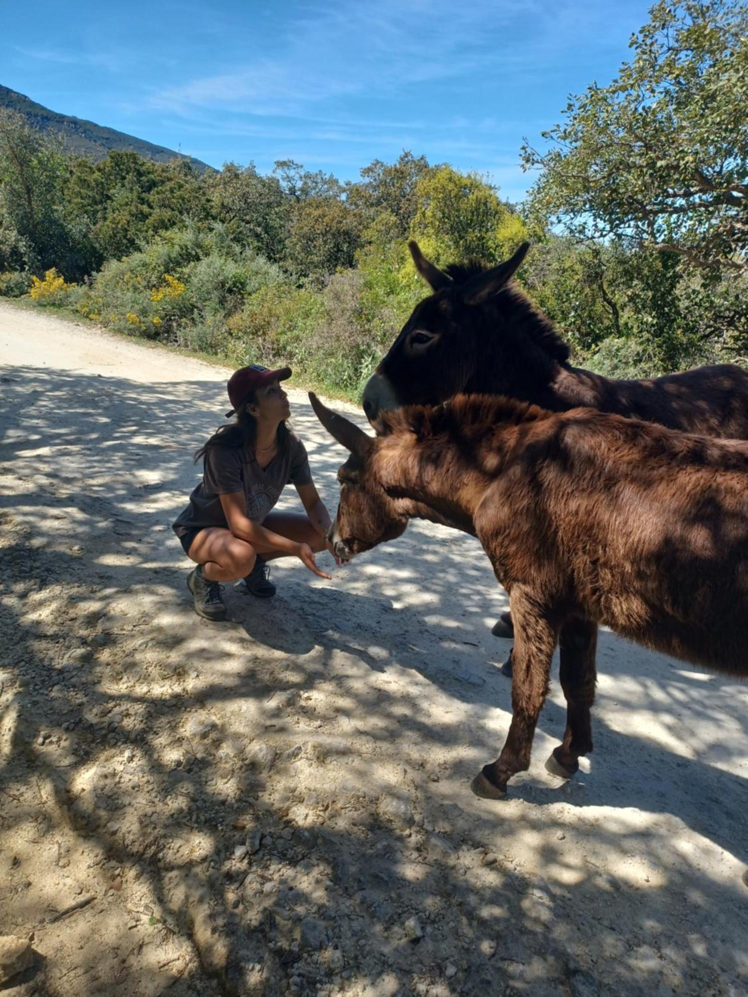 הוילה פאסינס Complejo Rural Del Molino Dorado מראה חיצוני תמונה